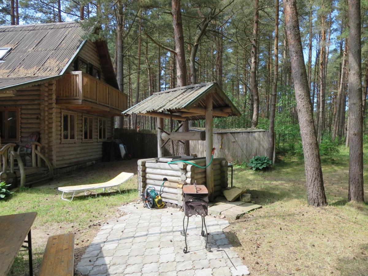 Edmundas Palanga Extérieur photo