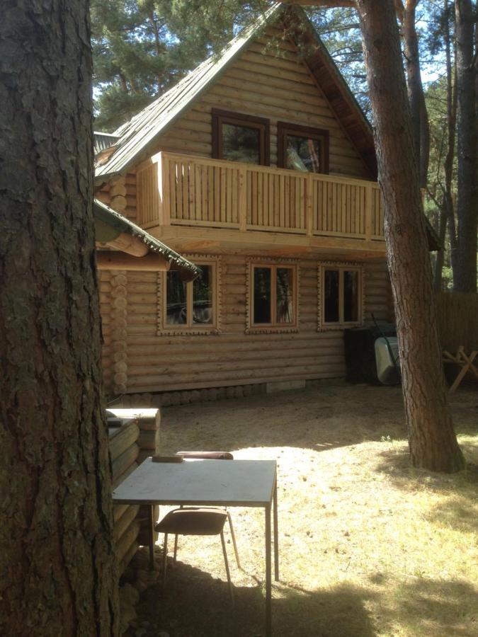 Edmundas Palanga Extérieur photo